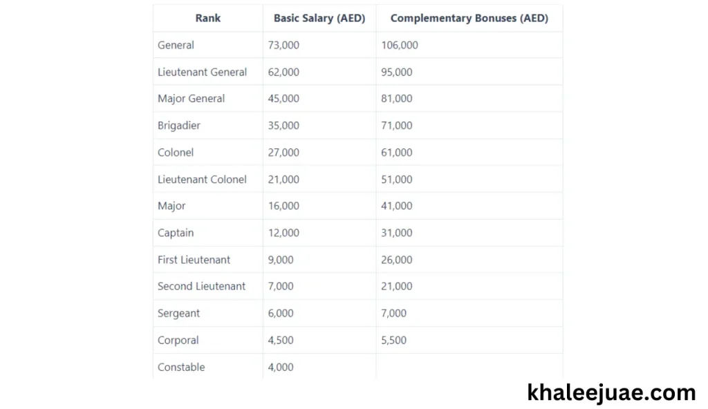 Dubai Police Hierarchical Structure and Compensation Overview