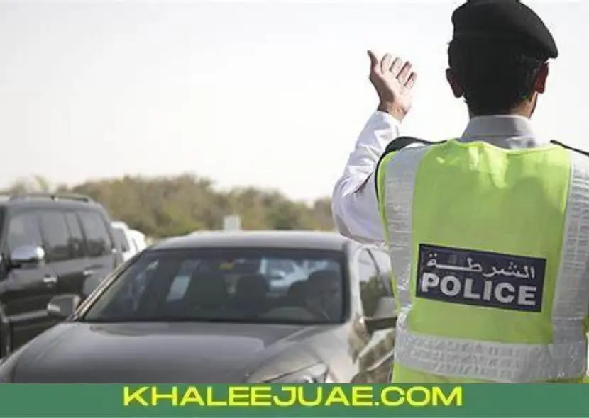 Black Points System Overview