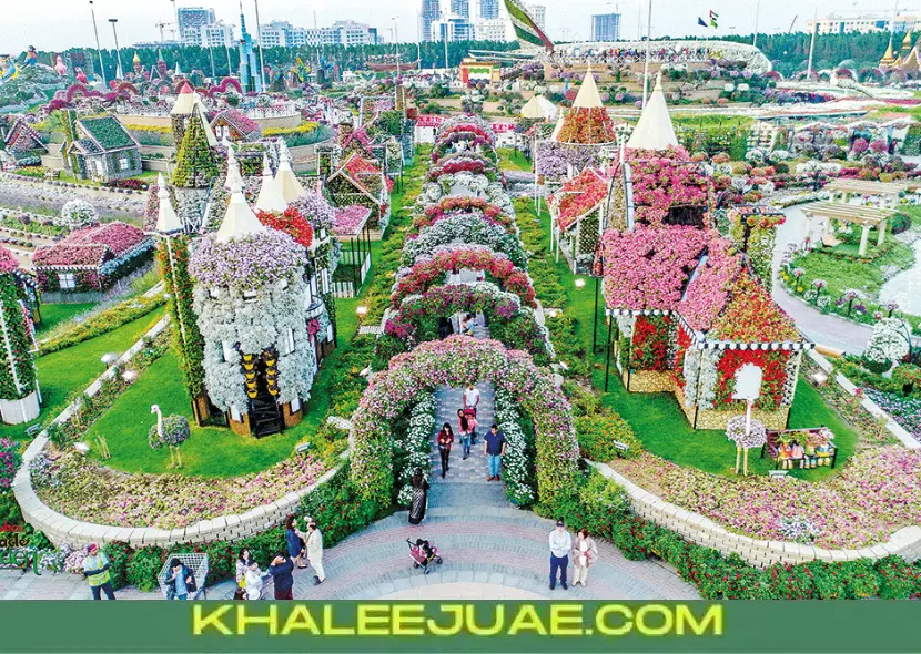 Understanding Dubai Miracle Garden